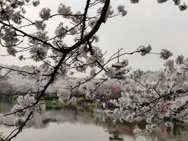 JmDzXdQXFZd1XzFtliVrKOw7jm3JiFAQVekHNvXdKPK29s29oUWRKVxUnfa0qHCu