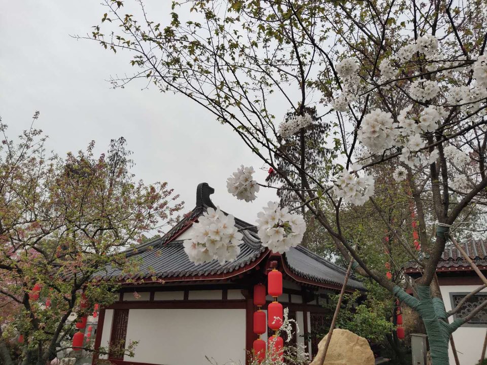 1hGVbnjfd1ryiS5BurHIjfW8TJMpwNWGUzxWFUUGH3a0kU28W5bW5sPplIHiAewE