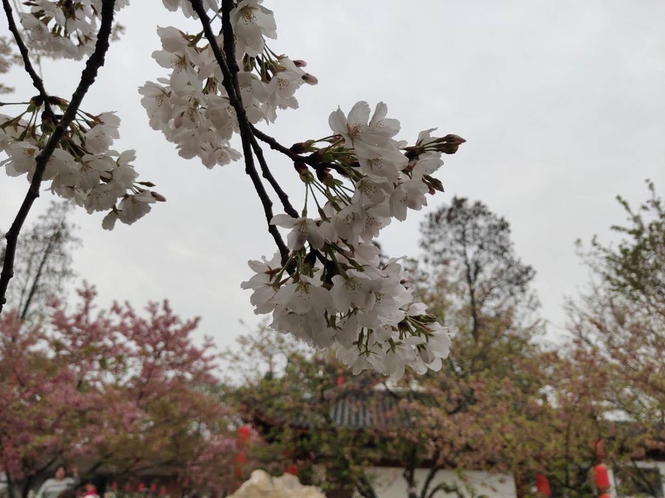 fIpRoqd96HBMHkBq5I7Qi5RsVcr6hkL_C1Y8W0lemPXBSStWkIAGqgOQ9NM2boO7