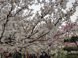 Y4Qf7GTRO01nGY54NCuZWNkz8NDzj6DzmqXurnfuqycRWT4_R5nzIwZRV3jqC63Z