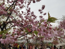 -OXLFjpZnEqJUGRaQl7vHtthWOxkAg9OCV4-eBHs5UGtSIC6qtu0dC7dFId1R4SQ