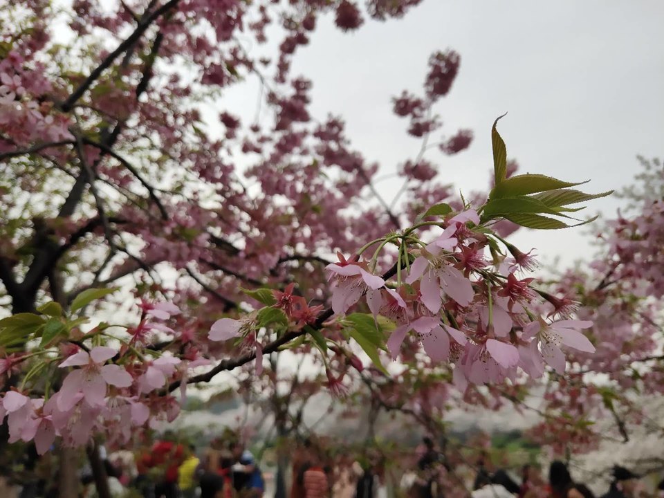 -OXLFjpZnEqJUGRaQl7vHtthWOxkAg9OCV4-eBHs5UGtSIC6qtu0dC7dFId1R4SQ