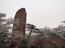 RRNBkx9aO43B1RjlQODS2lE71kFAC8RugrkL8PUIHAVNB2EGq9H1sSZomI_Cf9P7