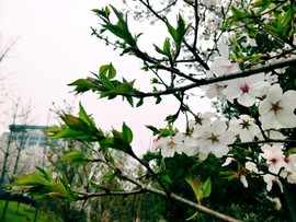 vHoa7etMi60vR-DGjcrSZaGe2YsEUQuNQ6H3pWgCH5Jg965wiqolHIE5saHq1XYq