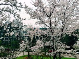 HeKi6MS9txn7L9I_-Wr9U9b_y8QCHjsnLz1PY9-4mPARhDOfUY2Mmvs5ZctJmzCZ