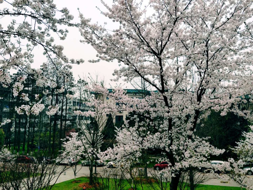 HeKi6MS9txn7L9I_-Wr9U9b_y8QCHjsnLz1PY9-4mPARhDOfUY2Mmvs5ZctJmzCZ