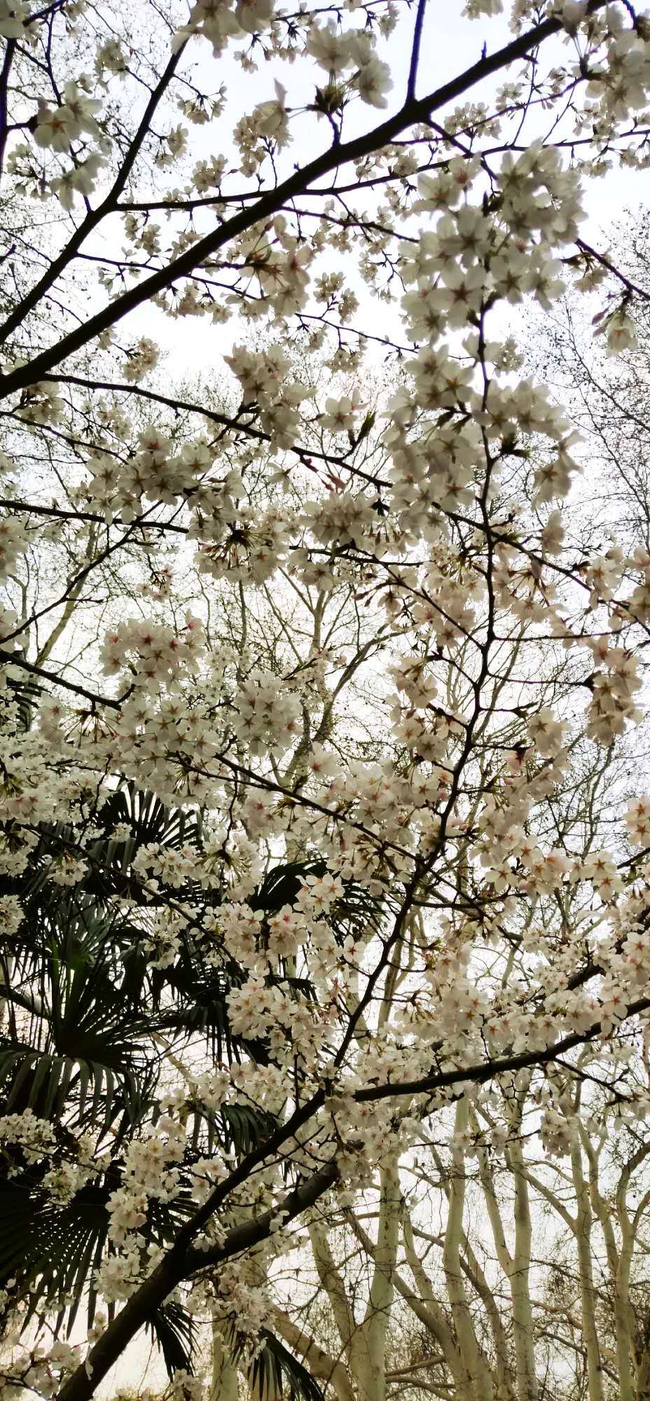 1Pv3bWD61iA4XxUPSU1TZdWTsX4iTp7uKlwTOcp1o7LLV-ZGmep5ak31C6XYHq6_