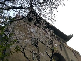 sNjDh0mnzDZbv3aObzuPG3-O932v8g1yNGYt-EFQozHQgwkDEicIVSM9UNAfPEDr