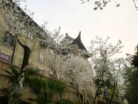 mK5G8ZqjHXLyyt7tdlXHARL23pMmNkSVw19OUqpOcv_JajazB9bIeCSq58C2mvoc