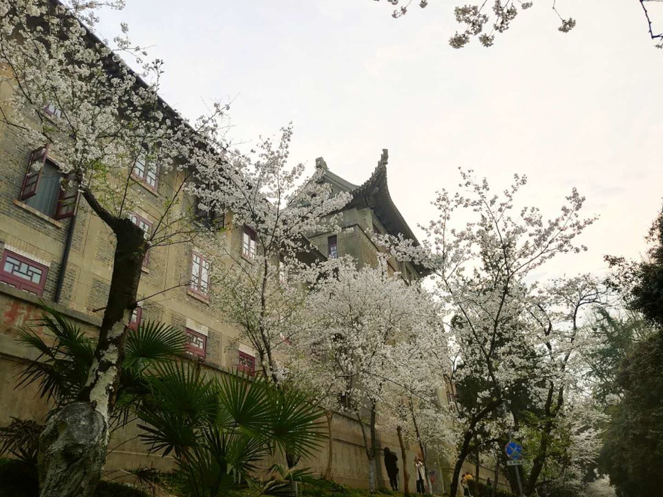 mK5G8ZqjHXLyyt7tdlXHARL23pMmNkSVw19OUqpOcv_JajazB9bIeCSq58C2mvoc