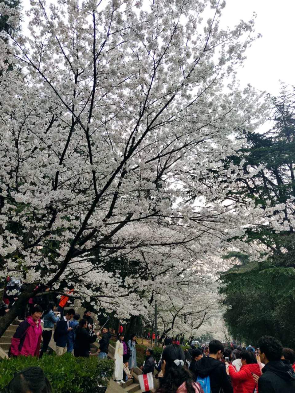 JIxoBD6YQXDsrijL9sQ7mge9JT6vgNwZtrh3c2Eq5mVe8lT7mJJho-OEfizu4dys