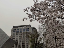 ibVpRqjEvvvY74QW9ACKiah34biAS6otxz5Coon3OZJEElQwLuJ8IxzROIKOVQGq