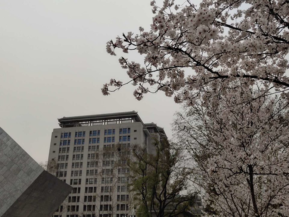 ibVpRqjEvvvY74QW9ACKiah34biAS6otxz5Coon3OZJEElQwLuJ8IxzROIKOVQGq