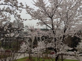 ROnr9U-KPfMYfQP7JHRSvHS2gBl_ZN0yR0GvLxKtcBlq63MvzKvTiJ1PTMY8hqqd