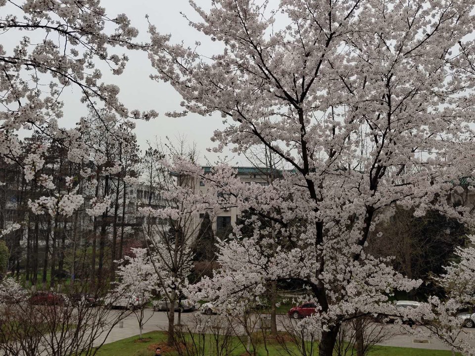 ROnr9U-KPfMYfQP7JHRSvHS2gBl_ZN0yR0GvLxKtcBlq63MvzKvTiJ1PTMY8hqqd