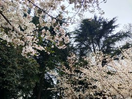 F-IKwjcgmEKZlIWV8O9TCKBesrFO_4PtJCygb_lXPXU7486hayuYg0pnm9raguTp