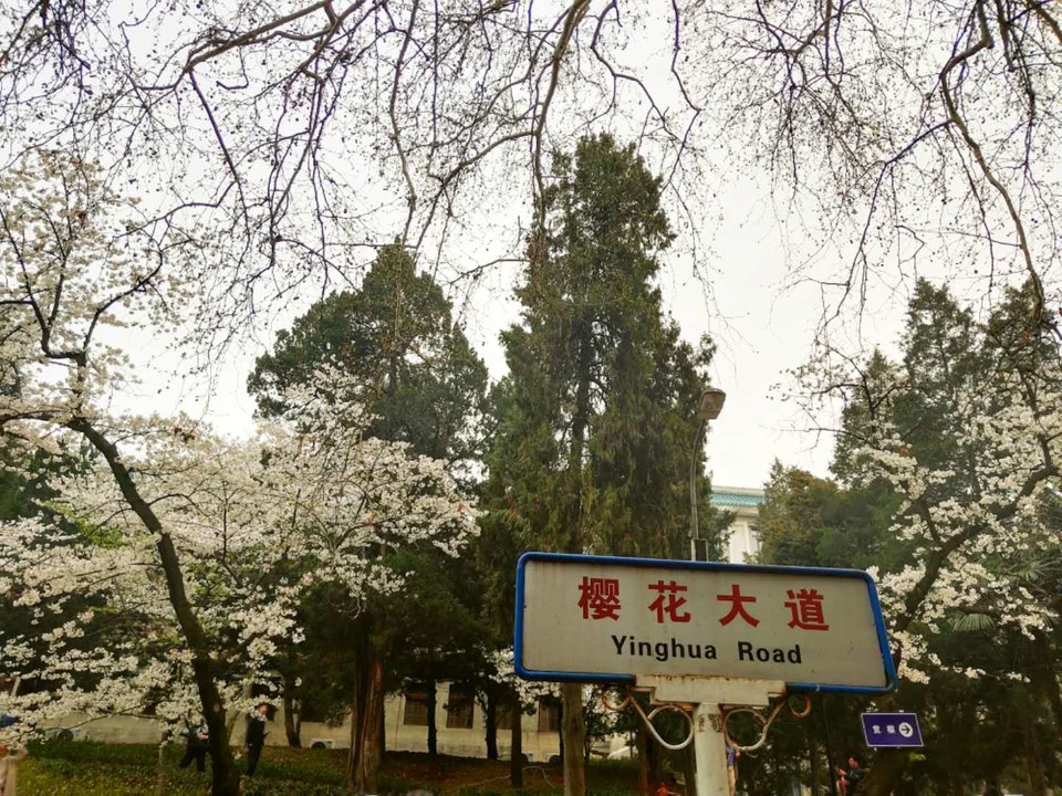 3LrCMojzLXXUmb9hZMtg8Wzd7uF4z98Niu0rXkbfXLxHDn8sTBrxZn9-Y43--dod