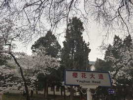 mSAR_aLAFStETGNfg-sEOi87QkEuMxveLZLNIk52YwdheDnSYMsJnfPFd9ITQw-p