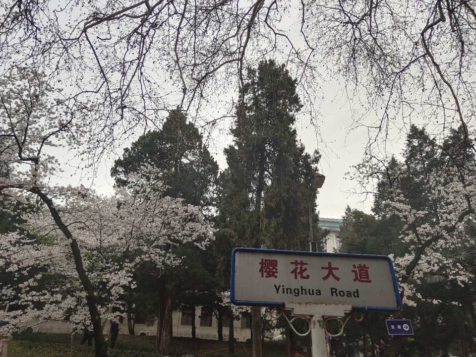 mSAR_aLAFStETGNfg-sEOi87QkEuMxveLZLNIk52YwdheDnSYMsJnfPFd9ITQw-p