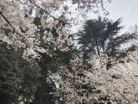 grR4BJl-bSebPOZVL9RrCBaRh7uhqmh2OspVFTQ_M4IYYz5RlAA_6gcREzdqrRLB