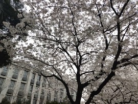 neJGaqXXgSgUwlhU2YurXS0AndJu081TyUfc-fwPu2IK1YS6_P44NuD6sFMbYhRf