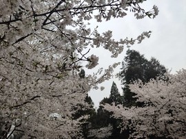 kZg7R6hGD7UGxyzhoIlQBZpXAAs85Y14ZHRa_8o8QbkIB-ikkuvrGJL-v_Sm95A6