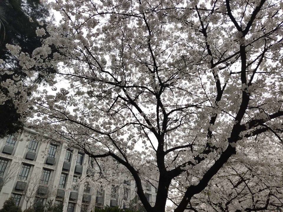 fEcrdj0-X5aqfI-VDNl1uerBtkqLmMj55BRuQxGIqOyPBdHC5sbO0fY_nsBovuQB