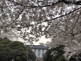 CHLyxhrtYVDz-5ZQbwtqWjL0n3E-pLFGP5fF3yZfrwpSYBwFws4Faxbq_oEKc1u9