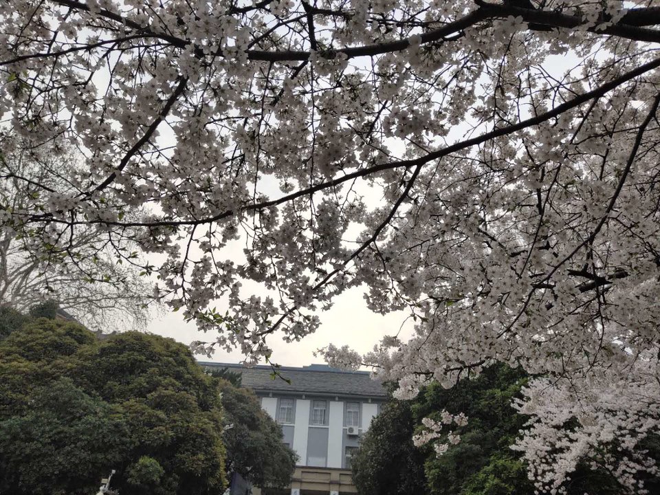 CHLyxhrtYVDz-5ZQbwtqWjL0n3E-pLFGP5fF3yZfrwpSYBwFws4Faxbq_oEKc1u9