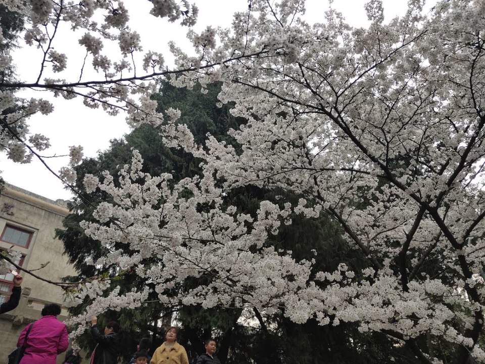 IMmw2cbsE8YqoP6OaMbhSh96r3qTskEVsOv3Y5C0z3OT5K_5Ac_3kLx3rGaEA9V5