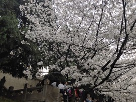 OCFD2M02-ct5K04qzrHp0FMqf4ZsvdaAiY_vkNWdeYxd-xstd5PqmDe34rQeSL4x