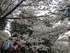 bPYpXzncSCbdE0yFCyRb-F7pz6JdqZ7A7O5qseWwFm2-oPBVpwwQMms96vvxVY9Q