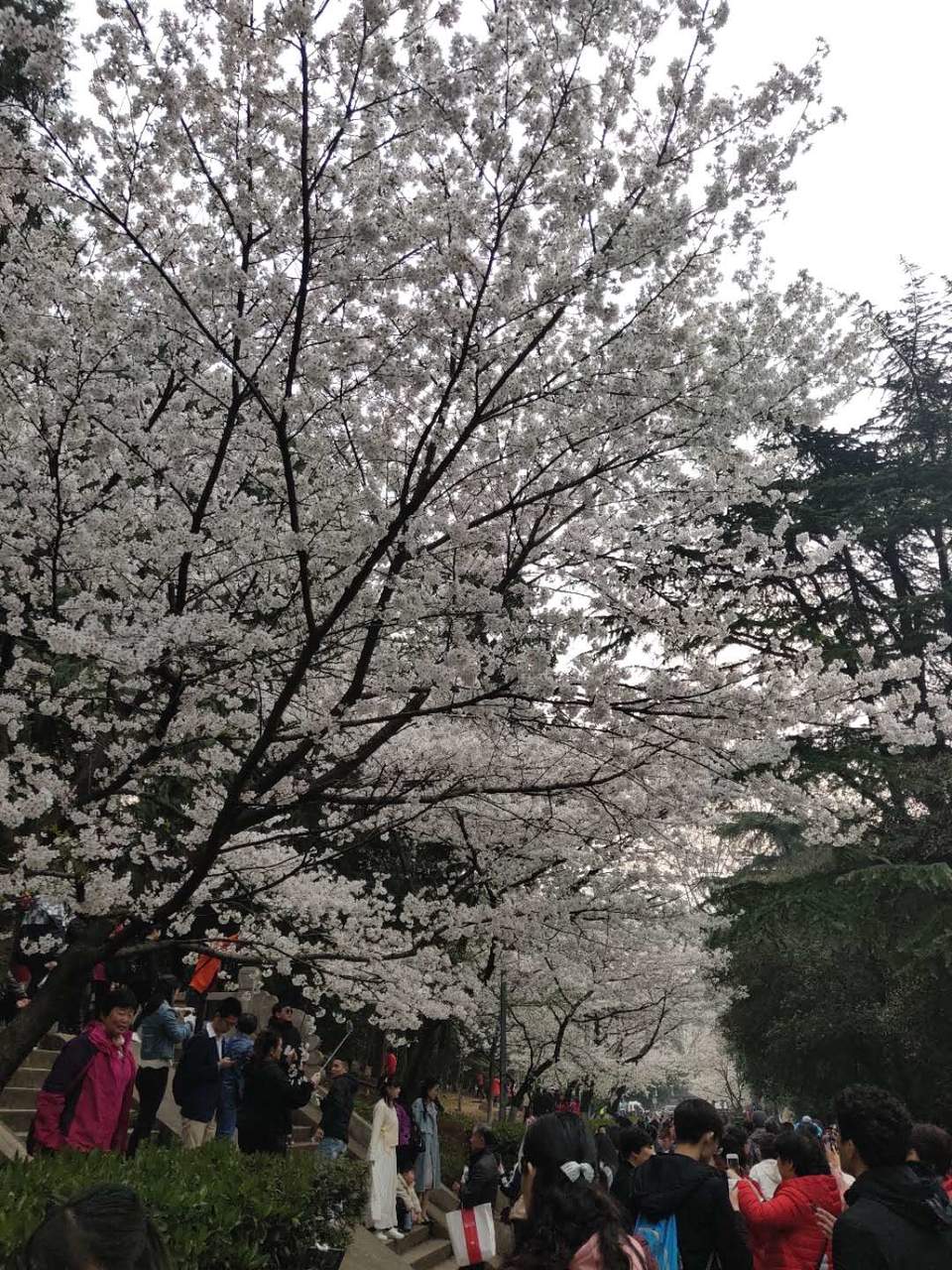 -c4J_-UMCasEU_Hk63pq6hp3nYHjEVaL1SmBKLs9mX9bqM8Uut81kkRAAVJN4ZU-