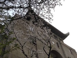 mRiNcn_92Zr4yfdLNAP9NgDxijgq0XHtn4jJbAhdFBJb8gpWY_n1Uo190Ydt5gmO