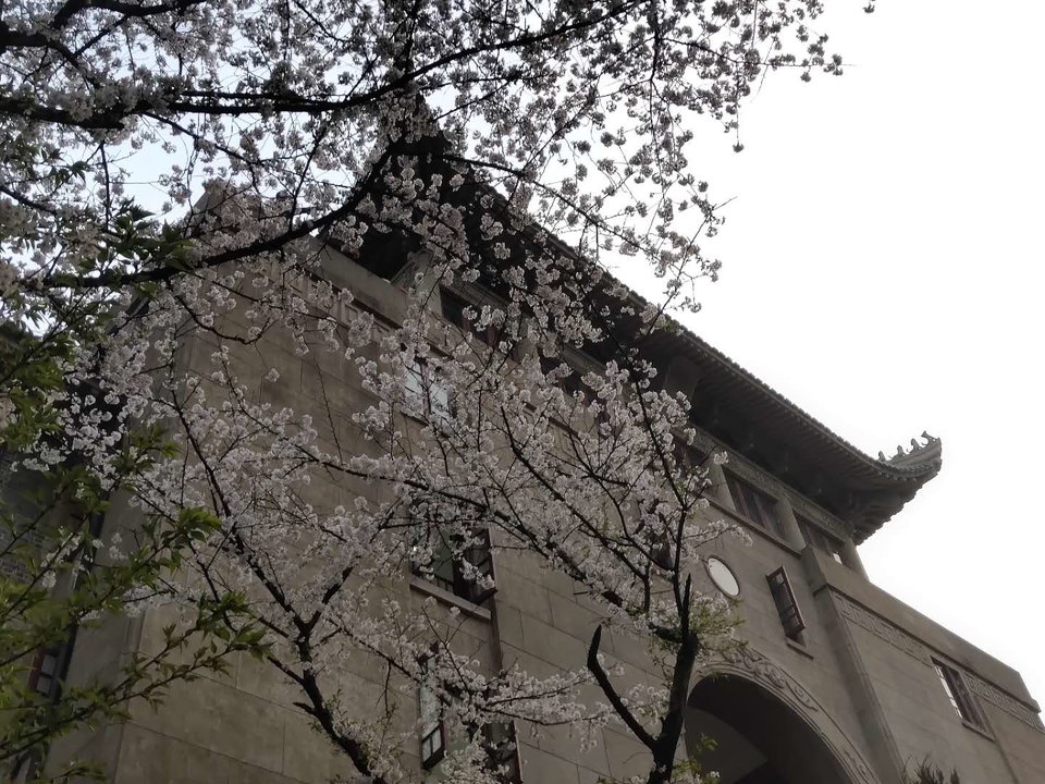 mRiNcn_92Zr4yfdLNAP9NgDxijgq0XHtn4jJbAhdFBJb8gpWY_n1Uo190Ydt5gmO