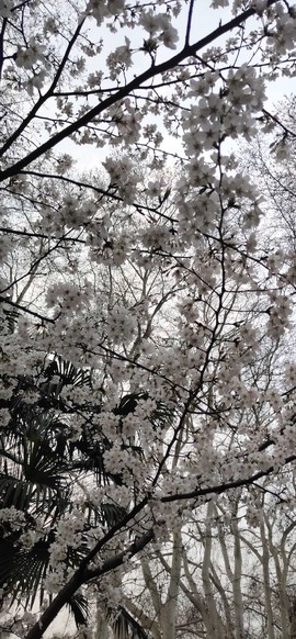 yM1hgKEemyoN0gHhXbiVZ9aooQlguJYugZ2hm4HXgbg99IqcBFB1EMNRnxfP5Bfe