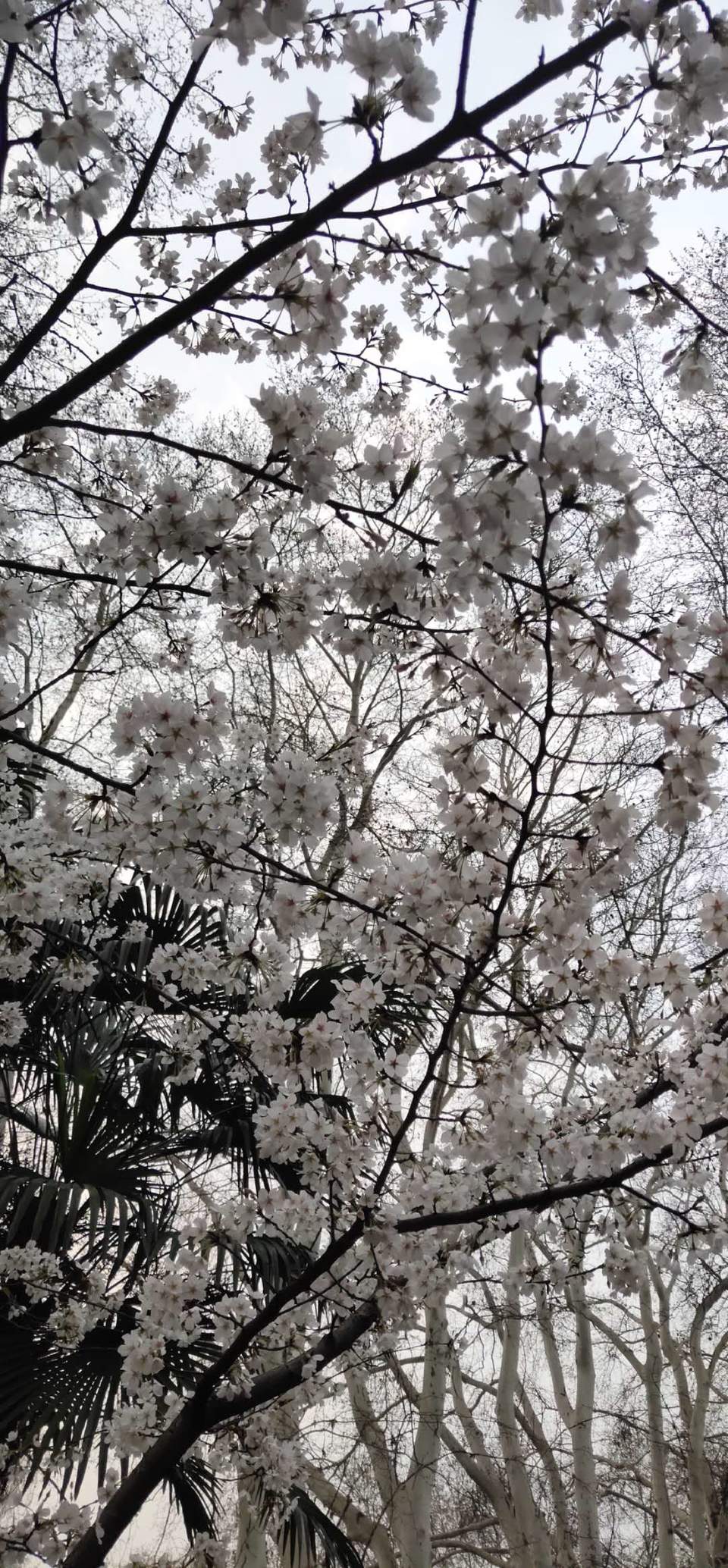 yM1hgKEemyoN0gHhXbiVZ9aooQlguJYugZ2hm4HXgbg99IqcBFB1EMNRnxfP5Bfe