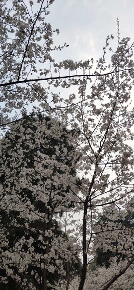 N5-g7W_3DytmZ3juxk5Rn9qK7N3bpC3vzdgMX0QsOMm0xM58gdQApySUG__azCGm