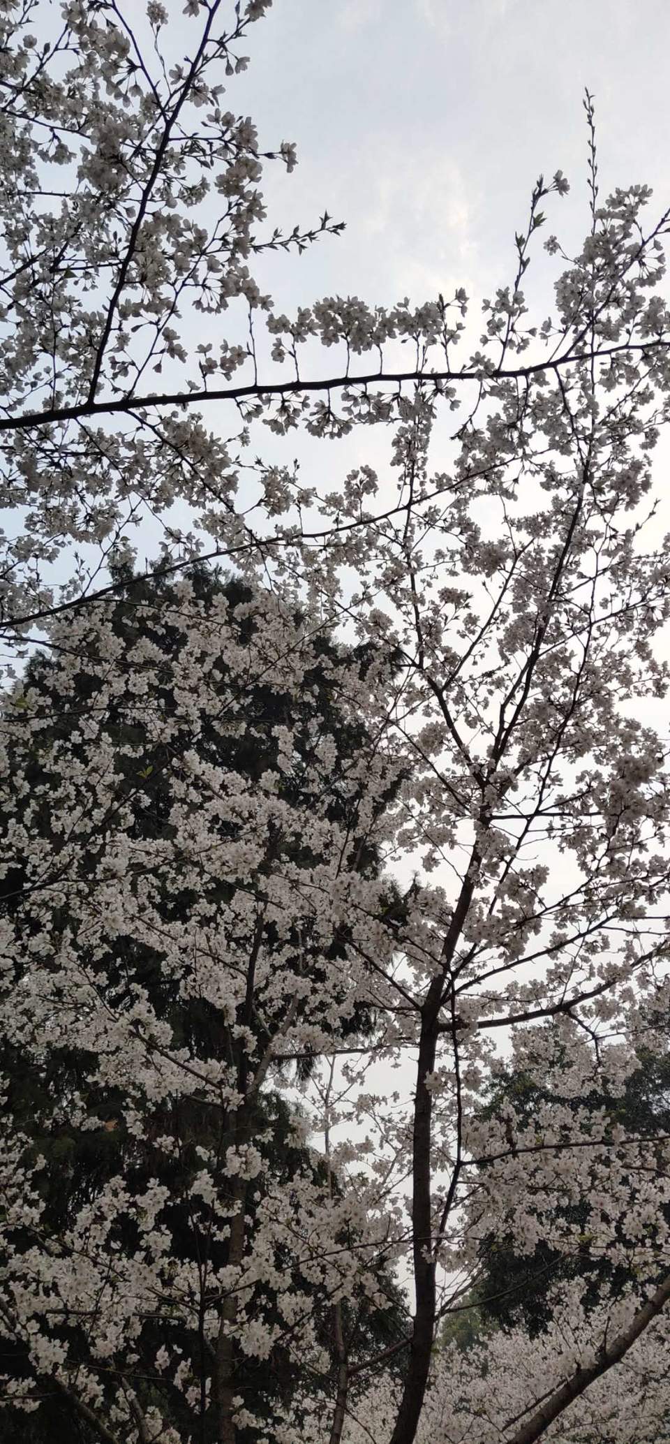 N5-g7W_3DytmZ3juxk5Rn9qK7N3bpC3vzdgMX0QsOMm0xM58gdQApySUG__azCGm