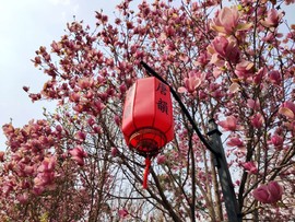 c8r5eLQBKr5l88jR8e5SqsoRq-6ZCTrH5CbNW2Gpk8UDskKAZG6YsBpFrbZ7HEVS