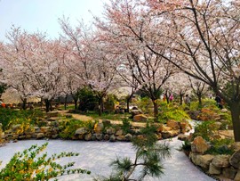 HLDproNzd6tbba5WPb0jvEXw3WkMuaIjskgwZCjwezLAX2ghEnNmTO7PAFV9ljLv