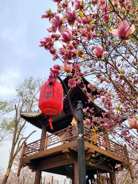 tjWibmCOoadhlj_vZ6nPnjkG6QdDL9rGrjVK0rwWrhEqVvYex7MzKdOYs8E3vt_X