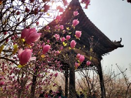 SpnZZgTAPC4_8YrjqWBBygkysHZ5xfuxVgWEMlDXXEop2NEMHscOwPC64FQq_Wl3