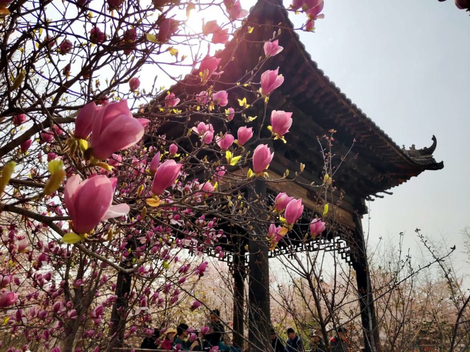 SpnZZgTAPC4_8YrjqWBBygkysHZ5xfuxVgWEMlDXXEop2NEMHscOwPC64FQq_Wl3