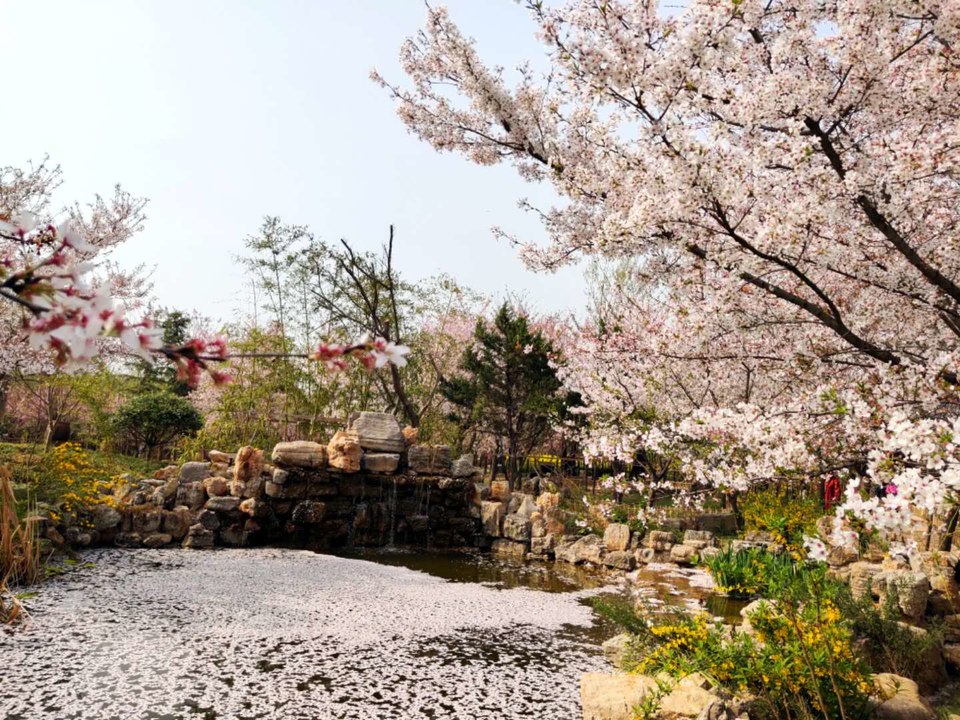 A3ivNkNiR66MdZVVkV7FkOmrhuxEa9ZPT8CpAZ-l7-w5sRIObTbUTQqrsY7t4LS2