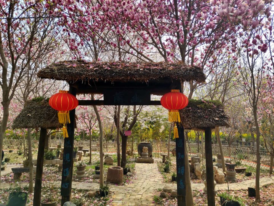 7rq-TCXJY-ruhvY_61r4BxJEgmfpTFM60qIbeyPj66T6xgcO4dKex_gDbL3Ffe3U