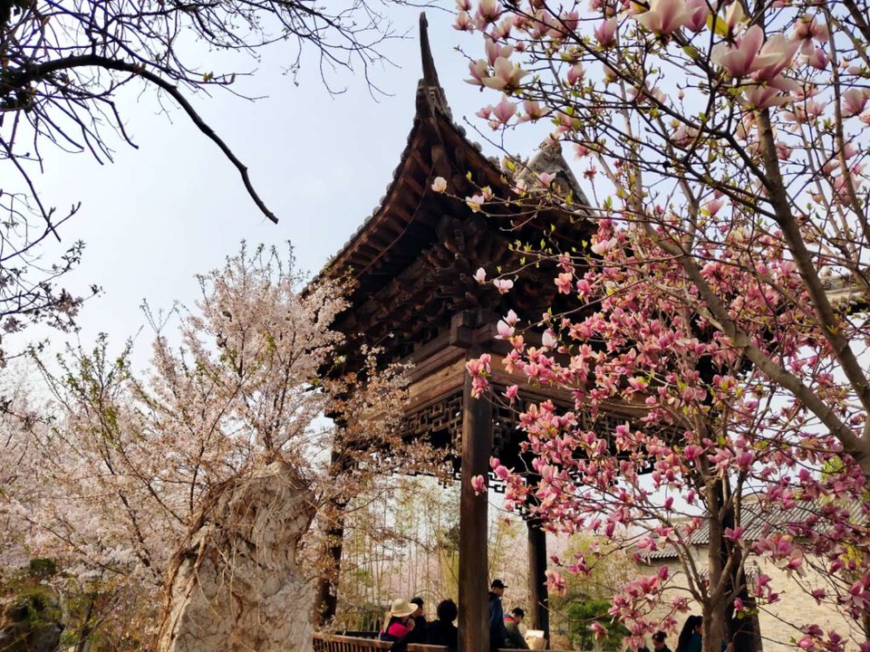 U8v0kVQE6_KlDQ76pLK3vtjJ8HRMZmfcDt72jhj-Xra_D7RAnIRw4cdRC0ucKZ77