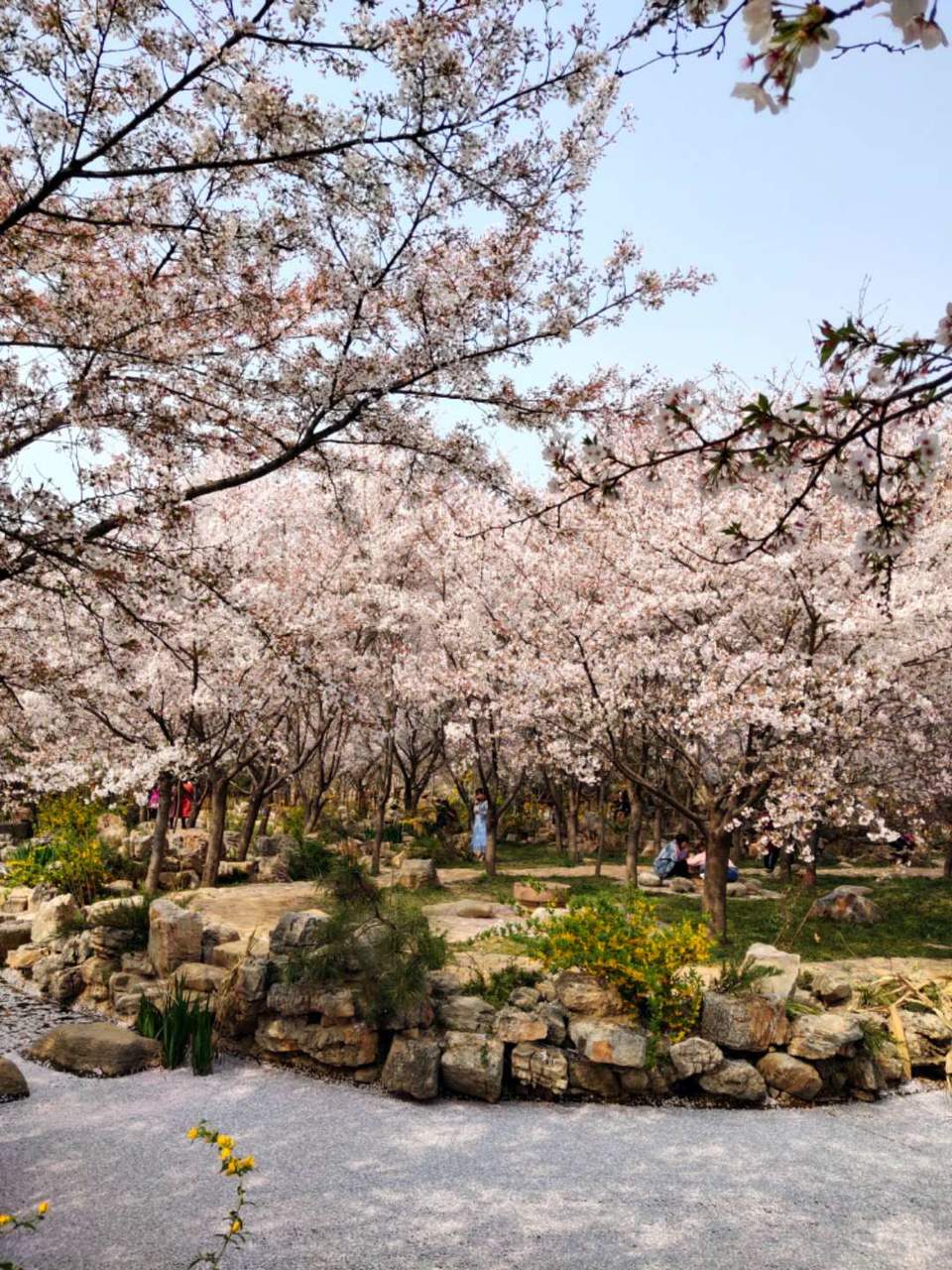 lgplqNrdYe30xJLgynVoreIkkj7u3Dun26Kvi69nC9Mook0YwhrooegUFZtWhdcN