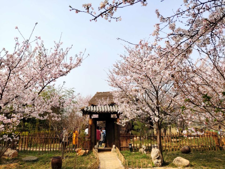 gfO-4fQOPzvK8Og50dhcH1GLOHqAcBLj9uxy3zCarUkoCGMw5Ir1eIsxP0sfqFtx