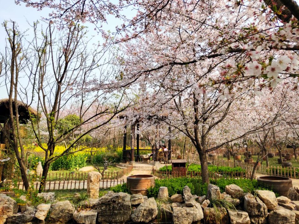 yiJGx6g4hRRiGJfOf8VVjUrJ1CHPviAeIGLlQ-J8Br143khCo97Btf8M9bJBgB0U